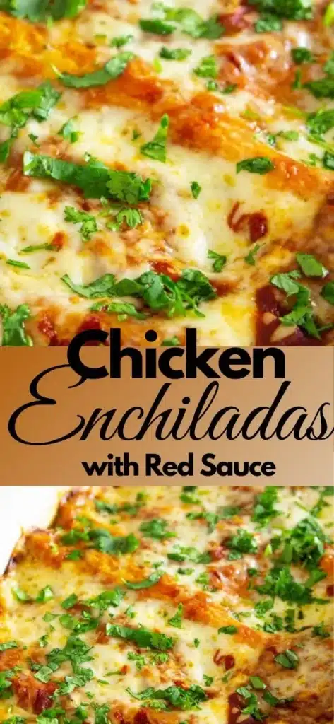 Delicious Chicken Enchiladas topped with melted cheese and fresh cilantro