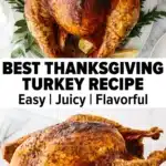 Easy Thanksgiving Turkey 2 easy thanksgiving turkey 2025 12 25 174655 150x150 1