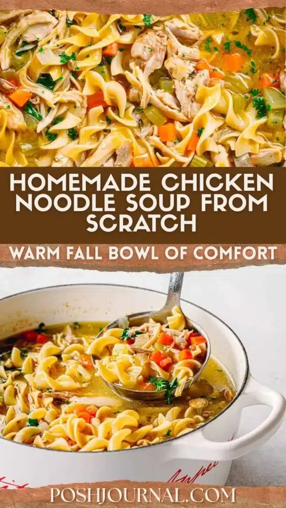 A bowl of homemade chicken noodle soup with vegetables and noodles