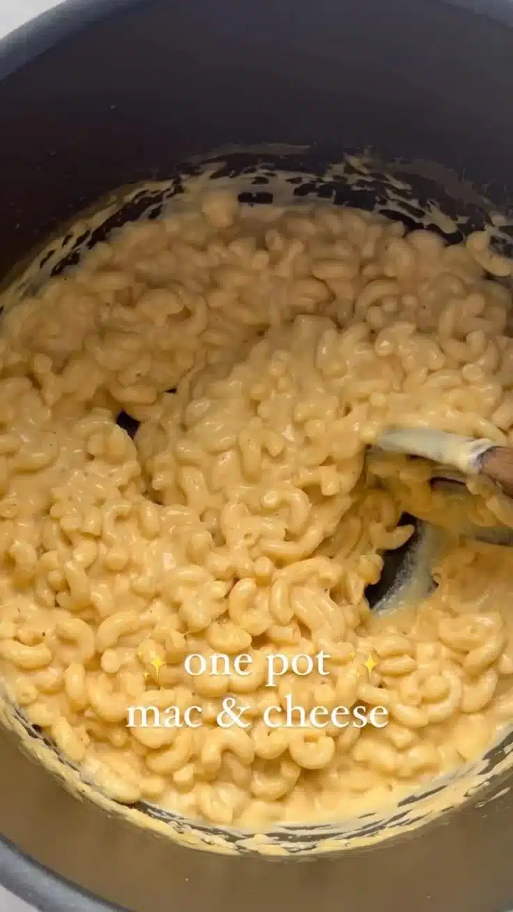 One Pot Mac & Cheese 1 Creamy One Pot Mac & Cheese served in a bowl with melting cheese on top