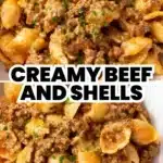 Quick & Easy Creamy Beef and Shells 2 quick easy creamy beef and shells 2025 12 29 231841 150x150 1