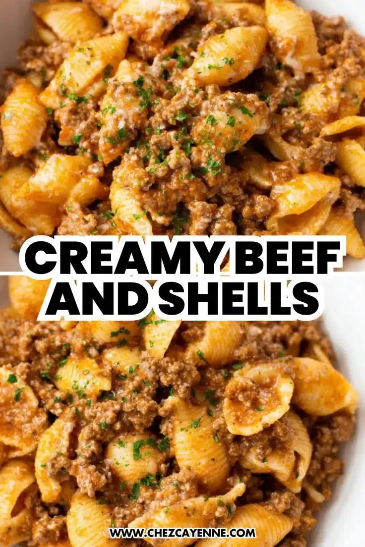Quick & Easy Creamy Beef and Shells 1 Creamy beef and shells dish, perfect for a quick and easy dinner recipe.