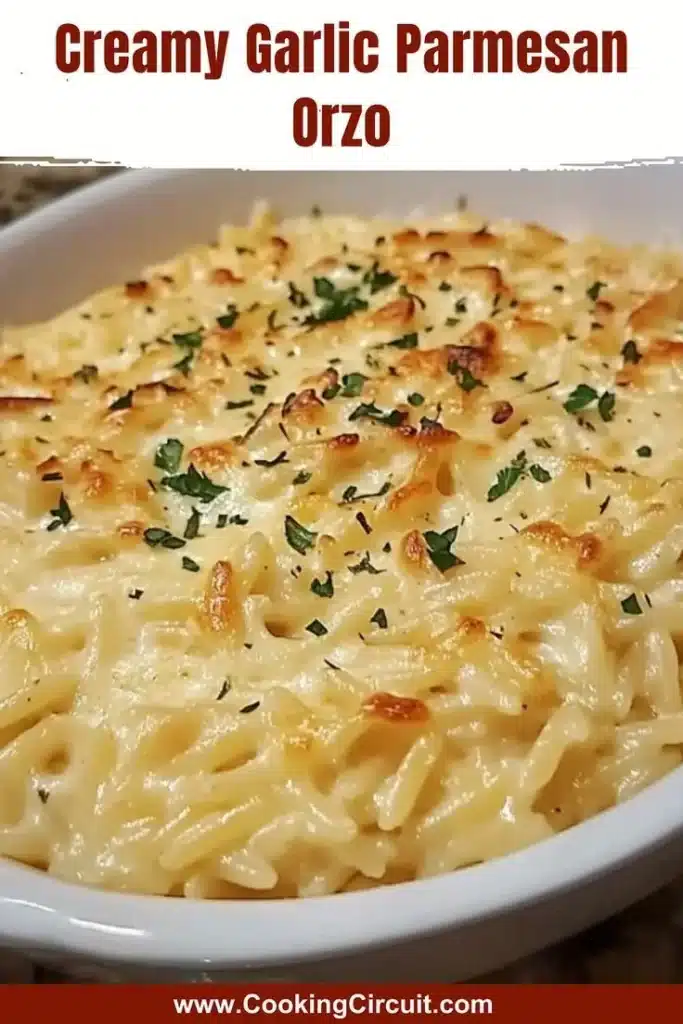 Creamy Garlic Parmesan Orzo served in a bowl with garnish