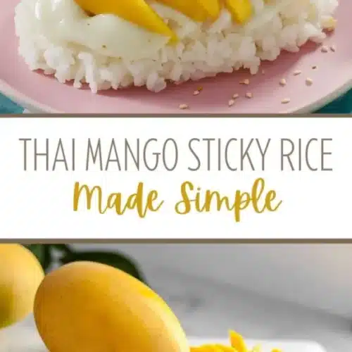 Mango Sticky Rice 2 mango sticky rice 2026 01 07 221945 576x1024 1