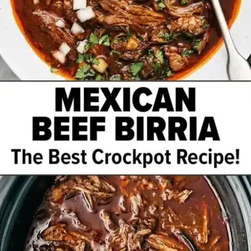 mexican beef birria 2026 01 17 145914 512x1024 1