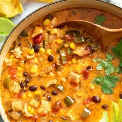 Chicken Poblano Soup 2 chicken poblano soup 2026 02 25 060104 554x1024 1