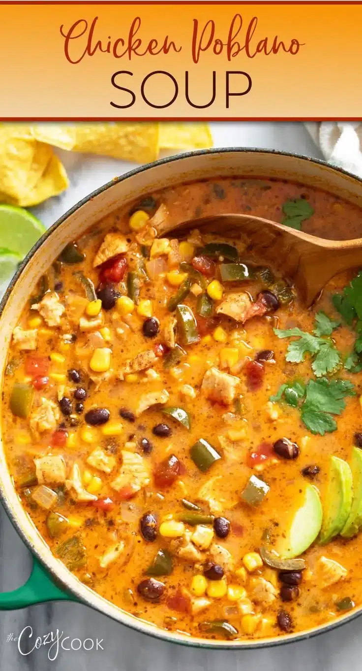 Chicken Poblano Soup 1 Bowl of Chicken Poblano Soup with fresh ingredients and cilantro on top.