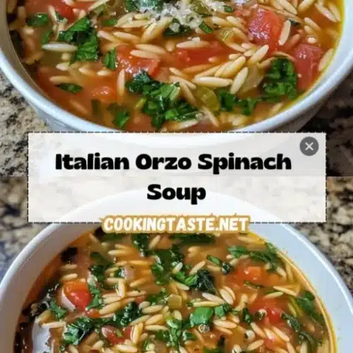 Italian Orzo Spinach Soup 2 italian orzo spinach soup 2026 02 25 060102 512x1024 1