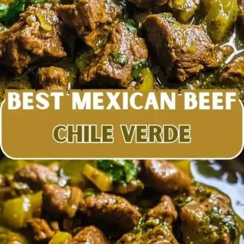 mexican beef green chile 2026 02 26 061256 512x1024 1