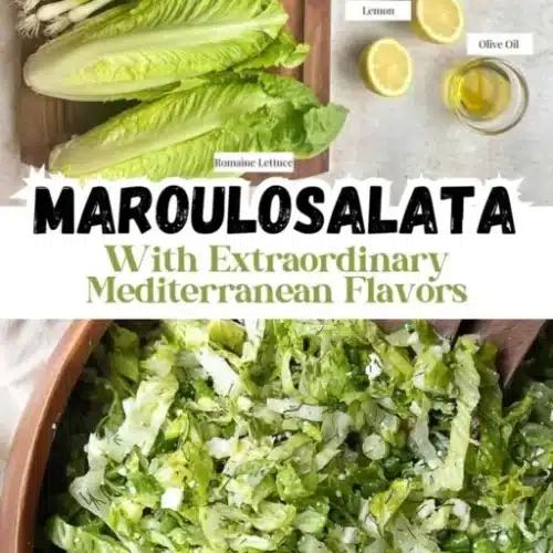 Romaine Salad 2 romaine salad 2026 02 23 235627 512x1024 1