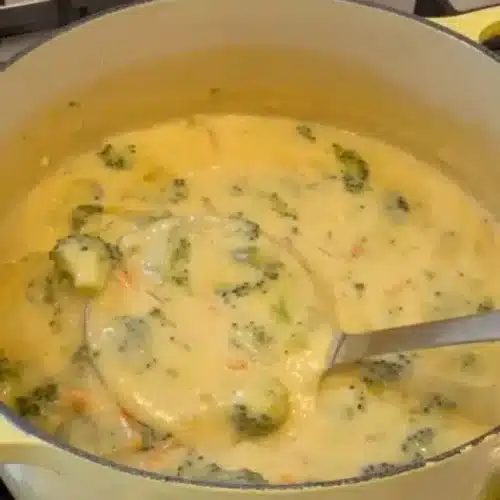 broccoli cheese soup 2026 03 21 184424 576x1024 1
