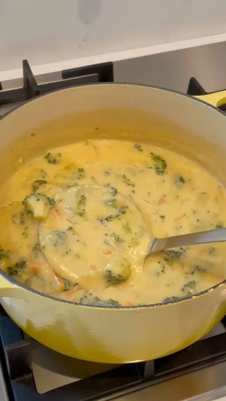 Bowl of creamy broccoli cheese soup topped with cheese and fresh broccoli florets