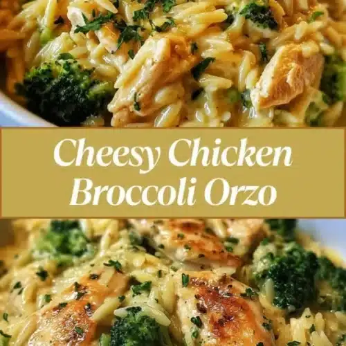 Cheesy Chicken Broccoli Orzo 2 cheesy chicken broccoli orzo 2026 03 12 024304 576x1024 1