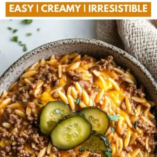 Cheesy One-Pot Cheeseburger Orzo 2 cheesy one pot cheeseburger orzo 2026 03 06 001407 512x1024 1