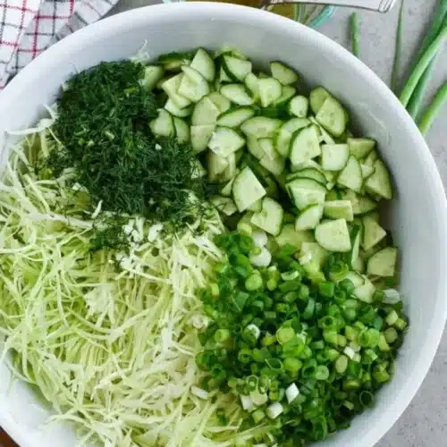 green cabbage cucumber salad 2026 03 23 152629 683x1024 1