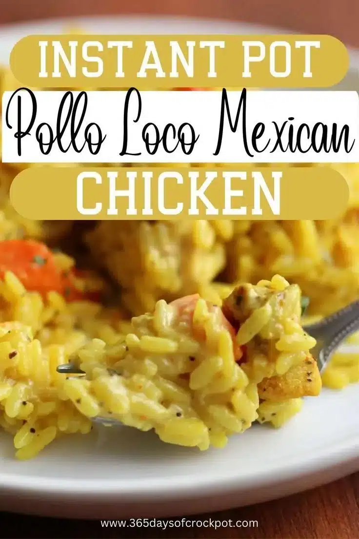 Instant Pot chicken and rice served with creamy queso dip on a plate