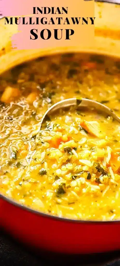 mulligatawny soup 2026 03 25 212921 463x1024 1