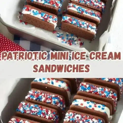 patriotic mini ice cream sandwiches 2026 03 27 213919 683x1024 1
