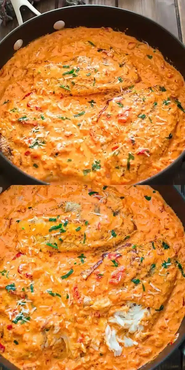 Tilapia fillet served in roasted pepper sauce, garnished with herbs.