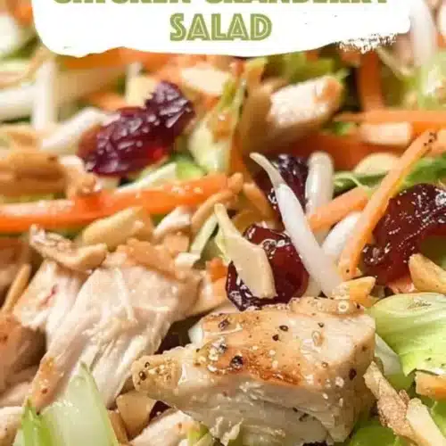 asian chicken cranberry salad 2026 04 03 215847 576x1024 1
