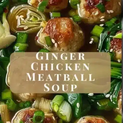 chicken meatball soup 2026 04 12 010738 514x1024 1