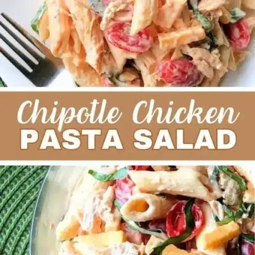chipotle chicken pasta salad 2026 04 24 173750 585x1024 1