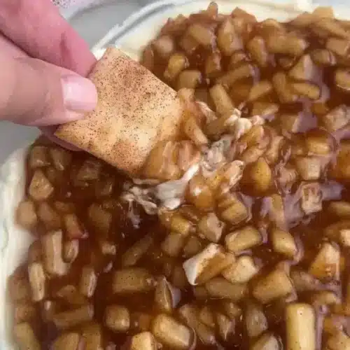 creamy apple pie dip 2026 04 01 004244 576x1024 1