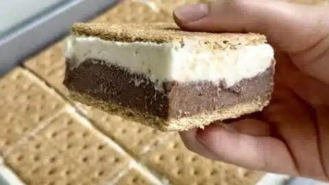 Delicious Frozen S'mores dessert with graham crackers, chocolate, and marshmallows