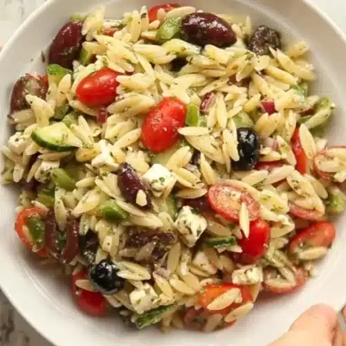 greek orzo salad 2026 04 30 202309 576x1024 1