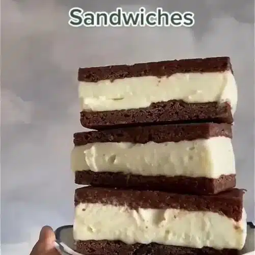 Delicious homemade ice cream sandwiches with chocolate cookies and vanilla ice cream