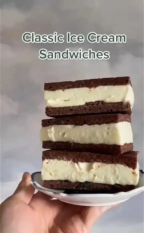 Delicious homemade ice cream sandwiches with chocolate cookies and vanilla ice cream