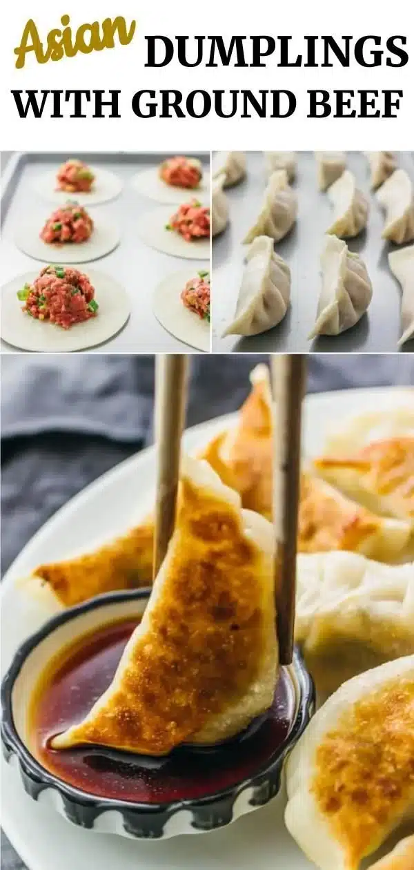 Homemade pan fried Chinese dumplings served on a plate