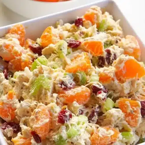 mandarin chicken salad 2026 04 01 004244 683x1024 1