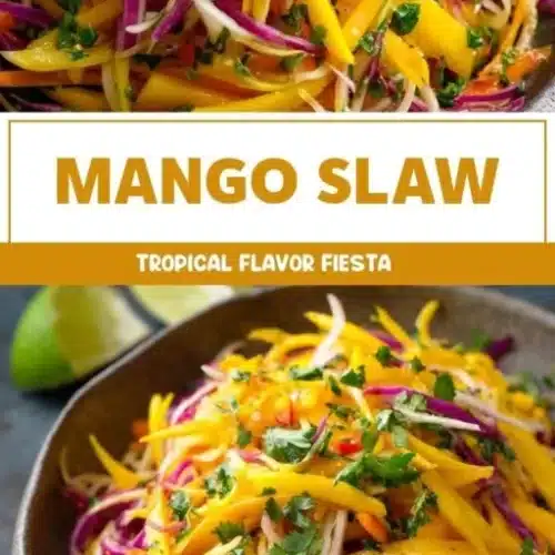 mango slaw 2026 04 08 012434 512x1024 1