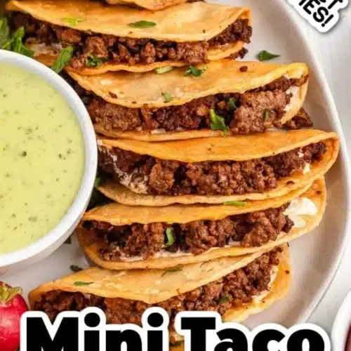 mini tacos 2026 04 17 155107 683x1024 1