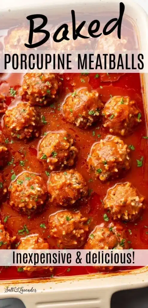 porcupine meatballs 2026 04 22 191926 494x1024 1