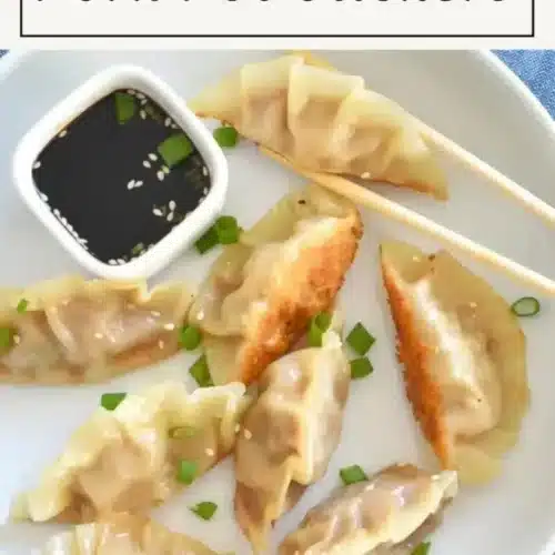pork pot stickers 2026 04 24 173749 683x1024 1