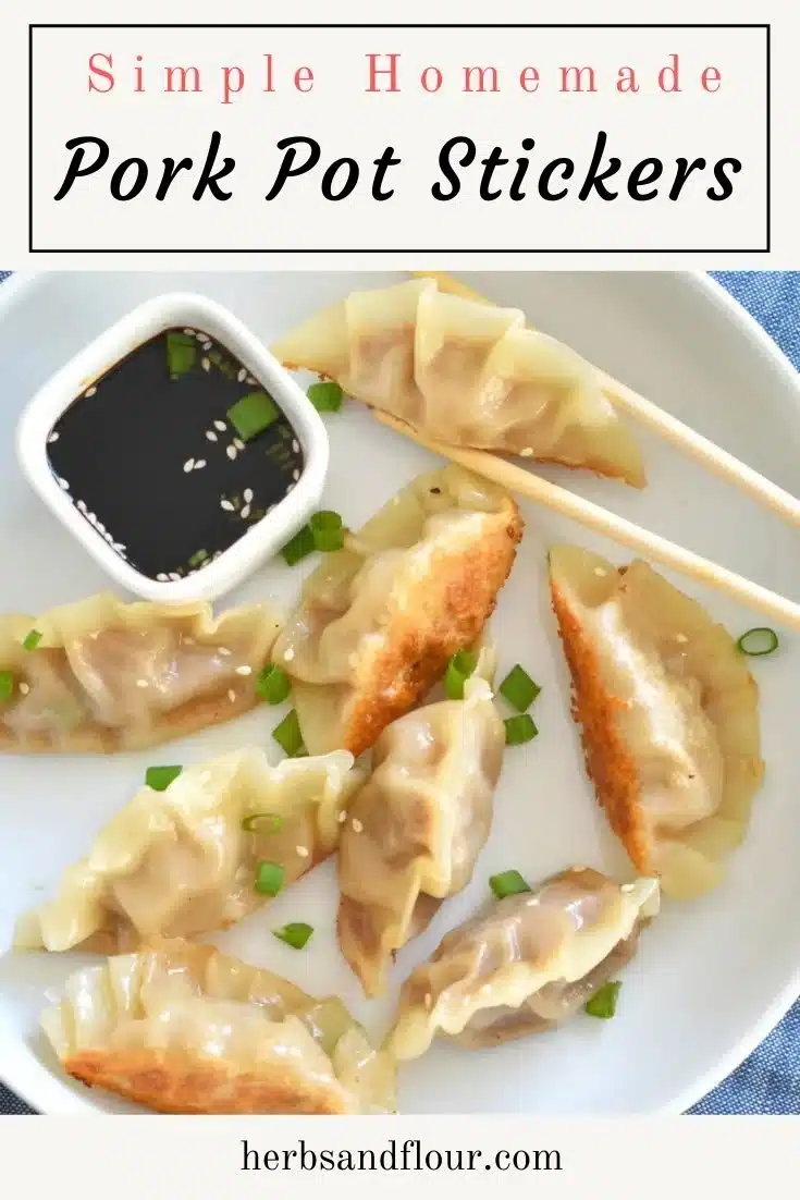 Plate of homemade Pork Pot Stickers with dipping sauce