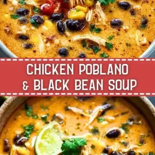 chicken poblano black bean soup 2026 05 03 230224 512x1024 1
